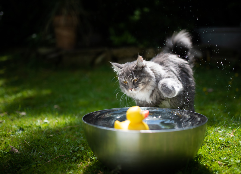 Mit dem Wasser spritzen | Shutterstock Photo by Nils Jacobi