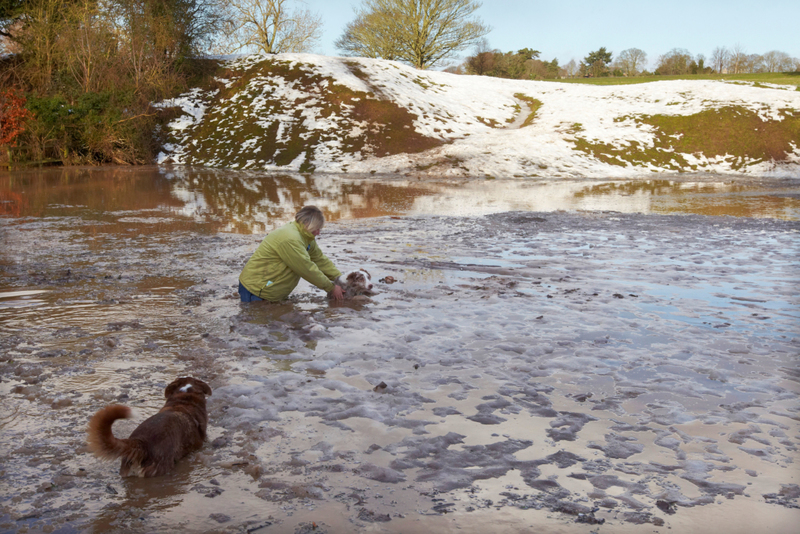 A un lago helado para salvar a un perro | Alamy Stock Photo