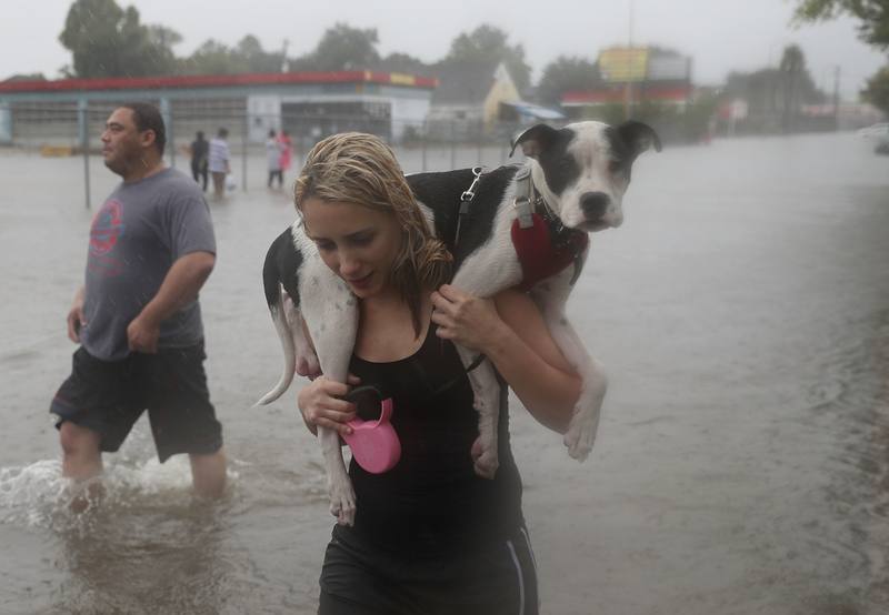 Rescatados de las inundaciones provocadas por el huracán Harvey | Getty Images Photo by Joe Raedle