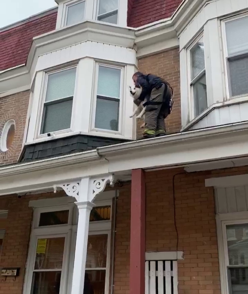Rescate en el tejado | Facebook/@York City Department of Fire/Rescue Services