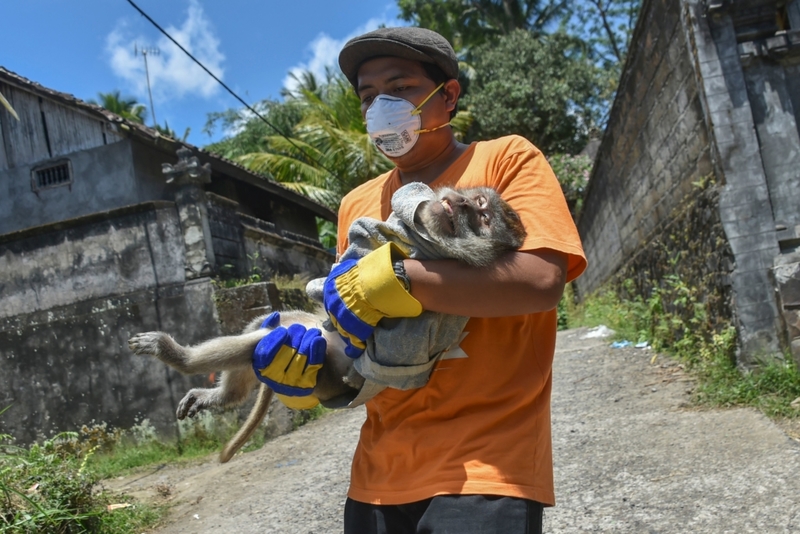 La amenaza de una erupción provoca una misión de rescate | Getty Images Photo by BAY ISMOYO/AFP Contributor