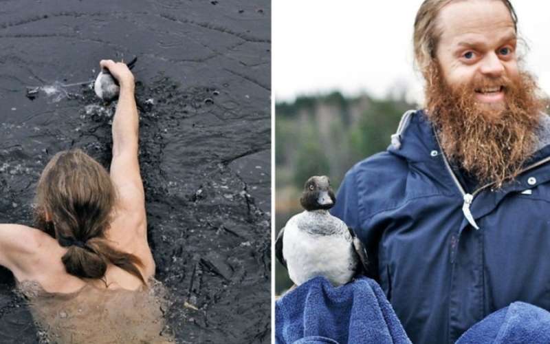 Este hombre saltó a un lago helado para salvar a un pájaro | Imgur.com/UhtredofBebbanburg