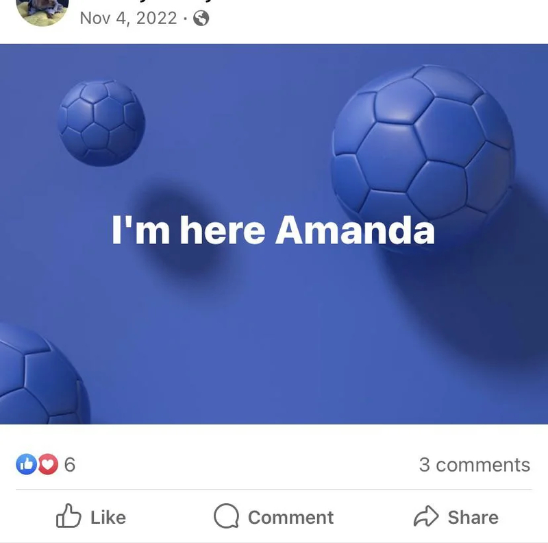 ¿Quién es Amanda? | Reddit.com/ToniBee63