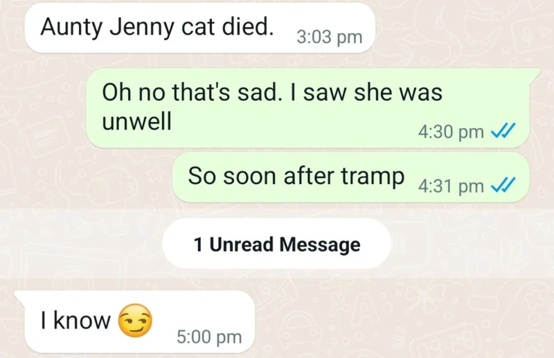 Mamá, ¿mataste al gato de Jenny? | Reddit.com/Vharlkie