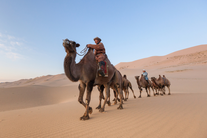 Gobi Desert, Mongolia | Shutterstock