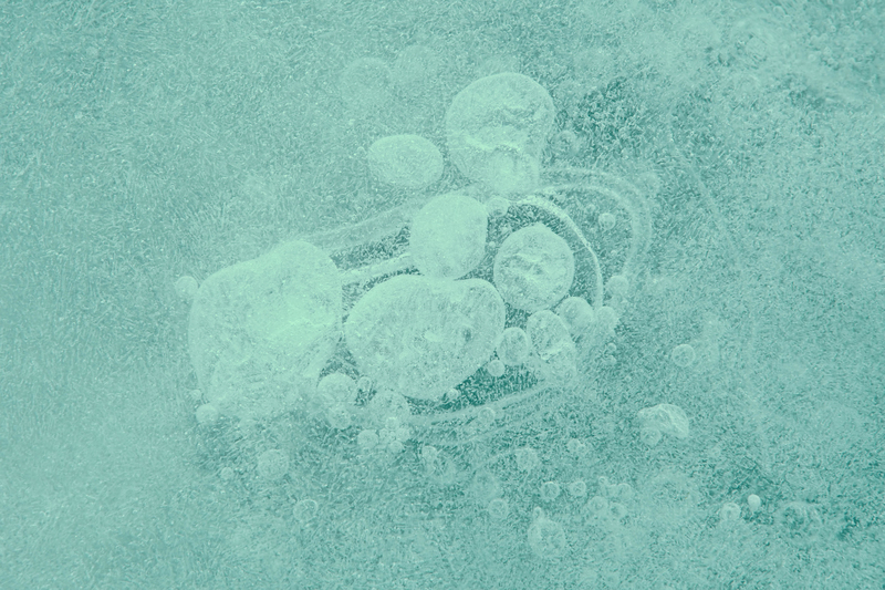 Burbujas congeladas | Alamy Stock Photo by Michele Cornelius