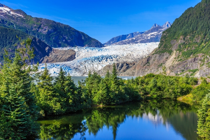 Un bosque subglacial | Shutterstock
