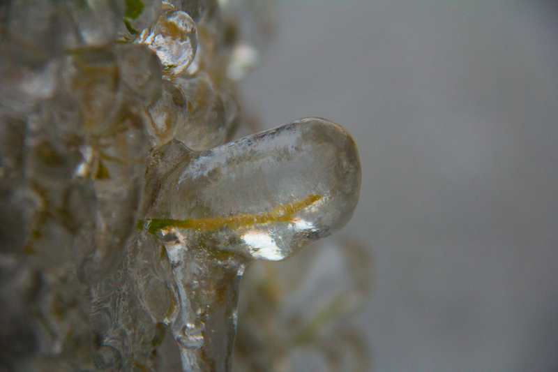 Las cosas más sorprendentes que se han encontrado bajo el hielo | Alamy Stock Photo by Robert Grim