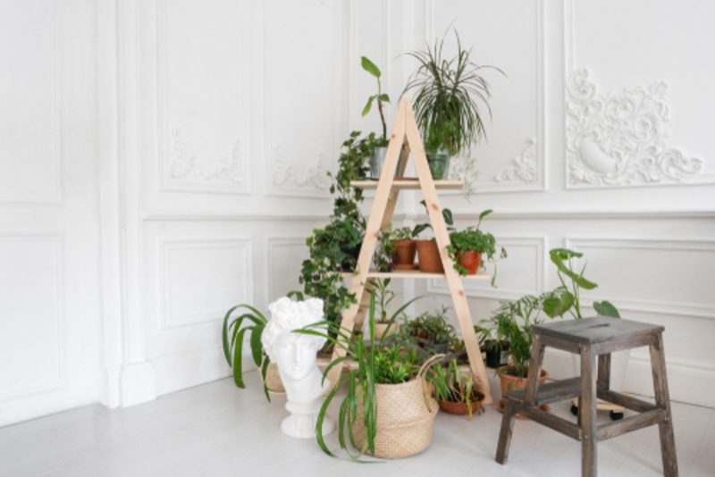  Soporte para plantas casero | Shutterstock