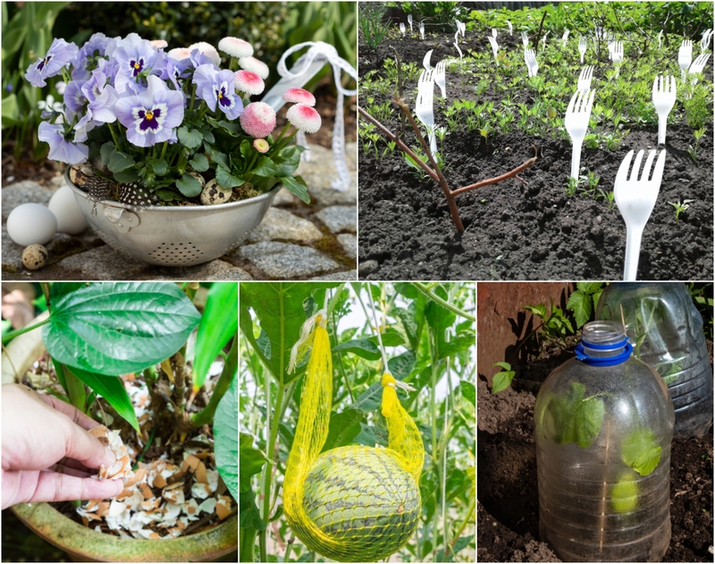 Formas ecológicas y económicas de mantener el jardín en perfecto estado con artículos domésticos | Shutterstock