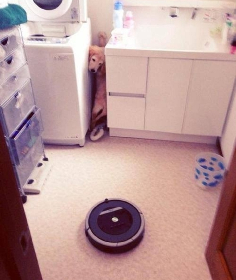 Roomba, el monstruo | Imgur.com/yeLjM2e