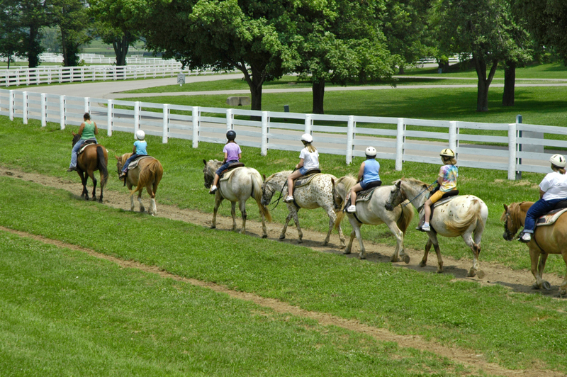 Kentucky Horse Park, Kentucky | Alamy Stock Photo