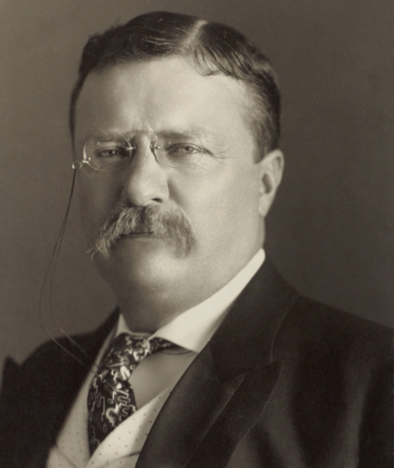 35. Theodore Roosevelt (Nº 26) - CI 153 | Shutterstock
