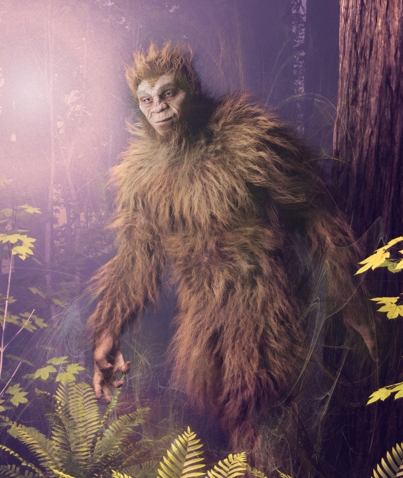 The Chinese Version of Bigfoot | Shutterstock