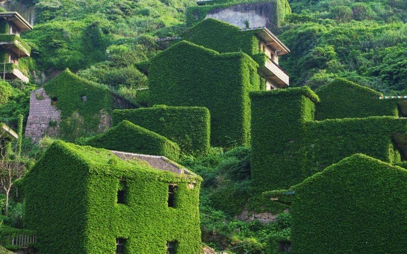 A True Green Village | Shutterstock