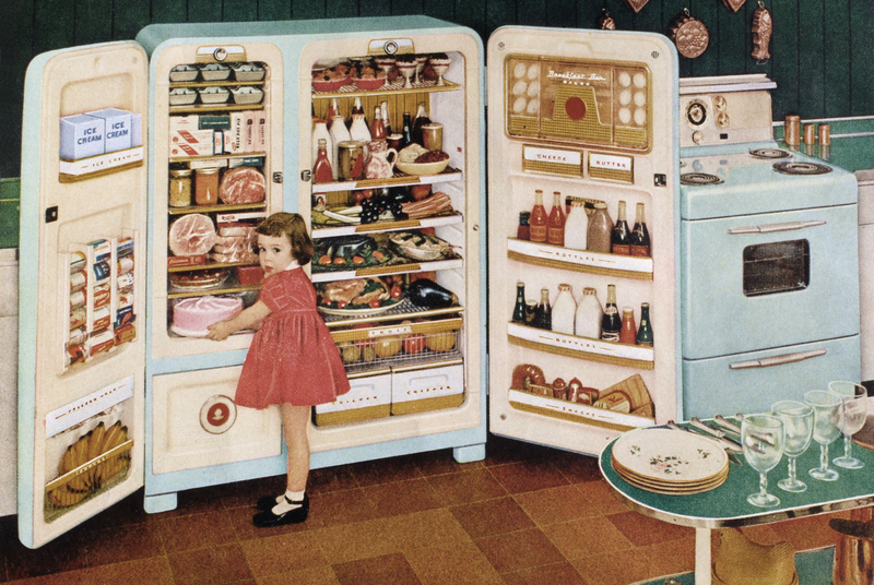Los sueños de todos sobre el refrigerador están a punto de hacerse realidad | Getty Images Photo by GraphicaArtis