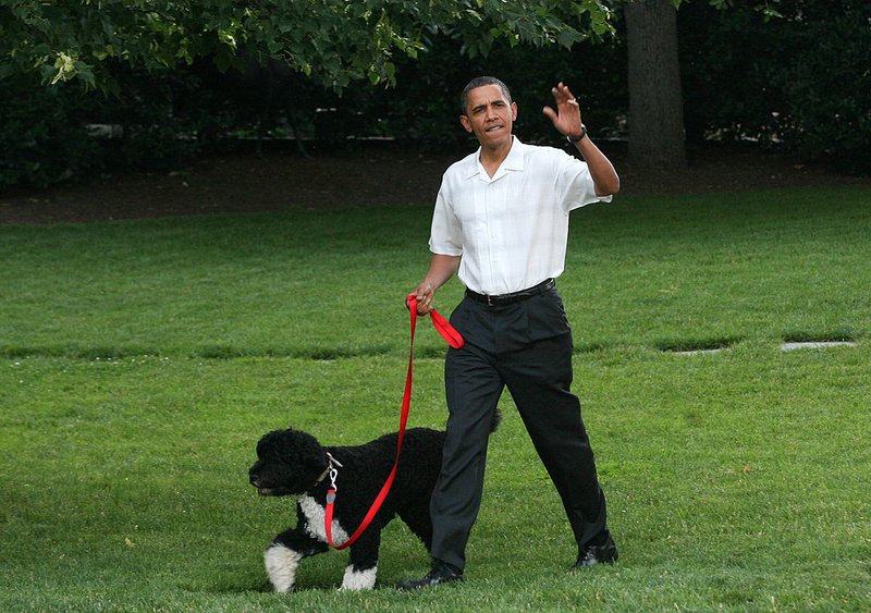 Barack Obama | Getty Images Photo by Gary Fabiano-Pool