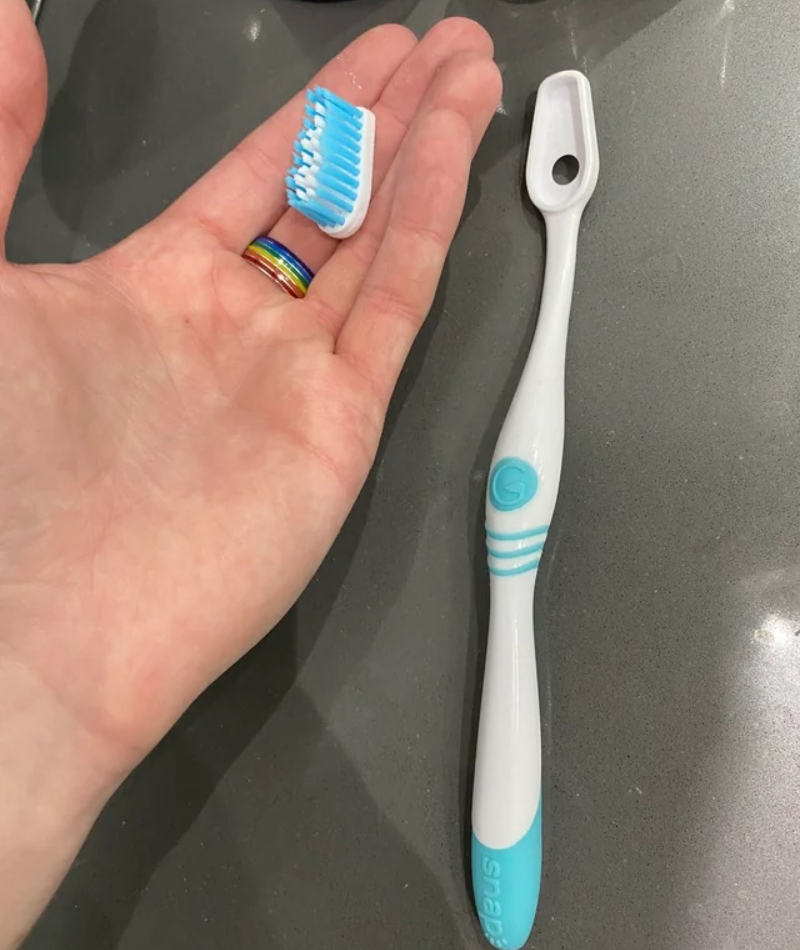 Cerdas de cepillo de dientes reemplazables | Reddit.com/simple_gay