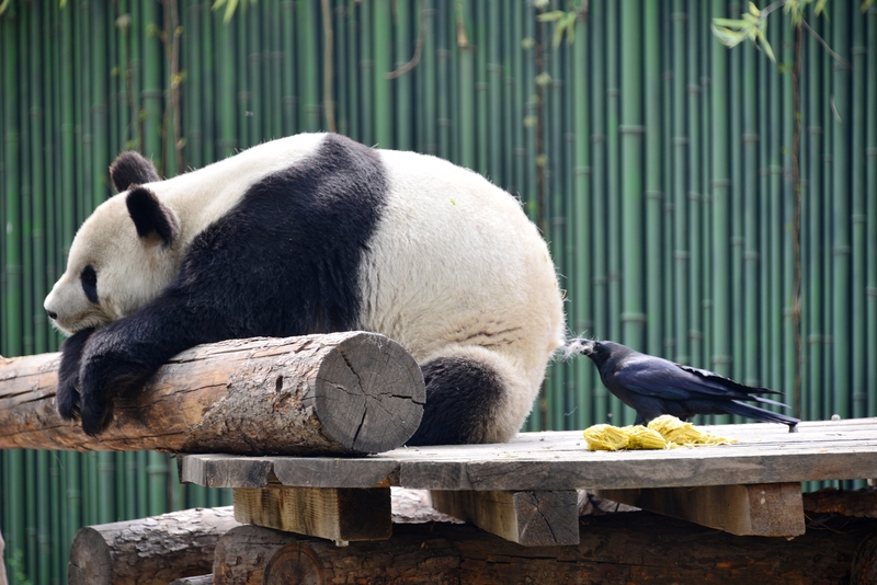 Ah, That's the Spot | Getty Images Photo by Feature China/Future Publishing