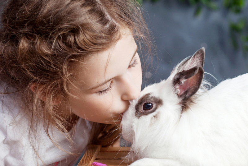 Bunny Gets A Kiss  | Shutterstock