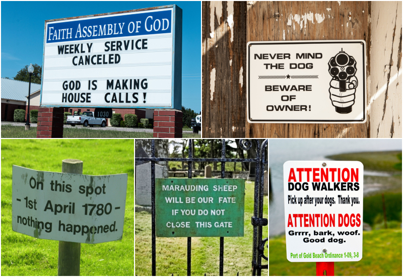 More of the Most Hilarious and Original Yard Signs You’ve Ever Seen | Kristin Taibi/Shutterstock & Elizabeth Iris/Shutterstock & Alamy Stock Photo by 4 season backpacking & Nigel Scott & marinuse-Signs